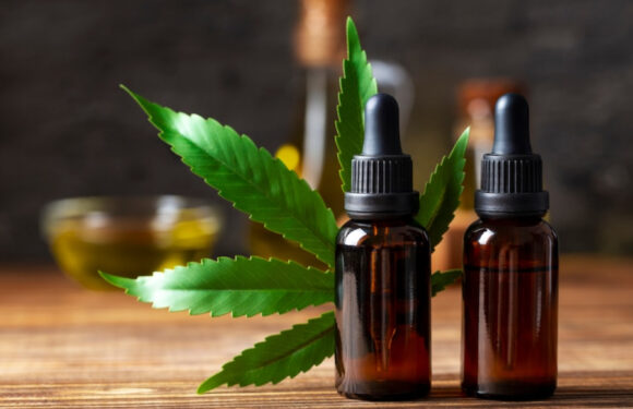 Best Cannabis Dispensary Experience in Toronto