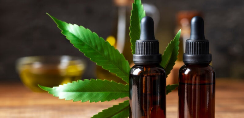 Best Cannabis Dispensary Experience in Toronto