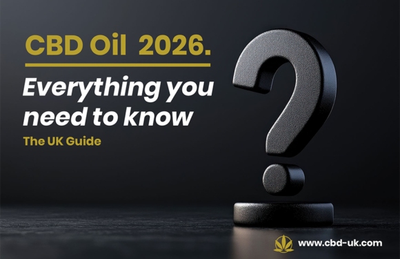 Why High Strength CBD Oil Is Trending in the UK in 2026